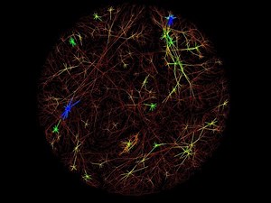 Interactive Higher-Order Network Modeling and Analysis
