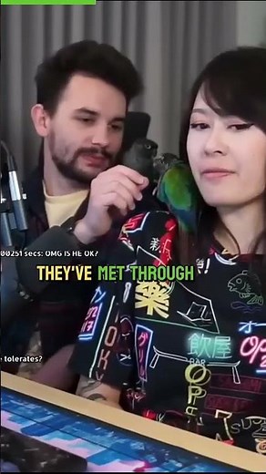 Jaiden Animations a cat plays with her bird