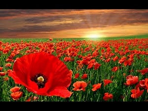 WW1Poetry ~ 'In Flanders Fields' by John McCrae ~ Read by Anthony Davies ~ Blue Dot Music