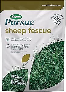 Scotts Pursue Sheep Fescue with Natural Seed, Seeding for Large Areas, 2 lbs.