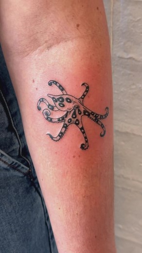 Adorable Blue Ringed Octopus: A Delightful Beauty