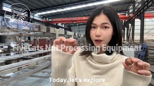  Industrial-grade Macadamia Nut Cracking Machine ✅ 80 kg per hour...