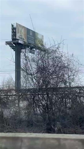 Exo Train at Lachine, Quebec #shorts