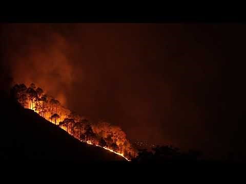 Wildfire Forest Fire (FREE STOCK VIDEO)