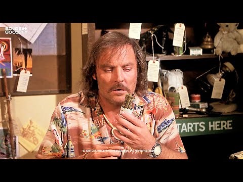 Cheech and Chong’s Nice Dreams: Testing the new weed
