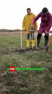 Environmental Carrying Capacity