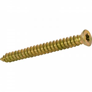 Masonry Torx Frame Fixing Screw