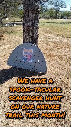 🎃👻 Spook-tacular Fun Awaits at Lake Buchanan RV and Cabin Resort! 👻🎃 This October, our nature trail has transformed into a haunted hide-and-seek adventure! 🕸️✨ Bring the kiddos—or challenge yourself—to find all the hidden Halloween surprises tucked along the trail. From creepy critters to ghostly giggles, it's a scavenger hunt you won't forget! 📍 Located in beautiful Burnet, TX, Lake Buchanan RV and Cabin Resort is your fall getaway destination. Whether you're here for the weekend or the s