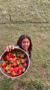 Farm life! #harvest #strawberry | Mrunmayee Deshpande