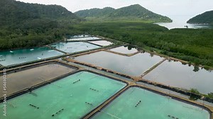 Shrimp farm in Asia. Aerial videography. Thailand-Koh Chang island-November-2022