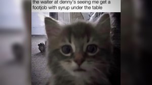 Maple Syrup Footjob | Know Your Meme