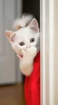 nice🥰🥰😍😍