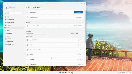 Windows 11 22H2怎么安装DirectPlay