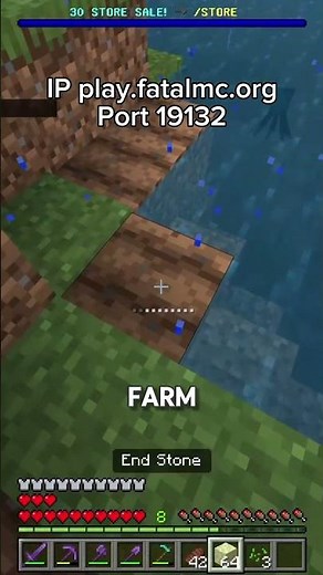 How to Get Rich on the Lifesteal SMP!