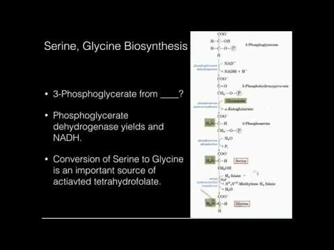 Serine, Glycine Biosynthesis