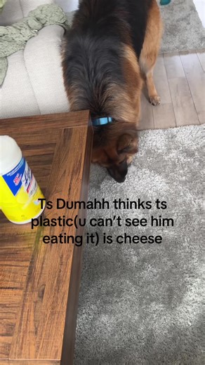 Kovar (@kovar.k7)’s videos with original sound - scaryyeets8