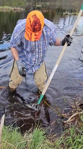 Pulling Giant Log Out Of Culvert Resembling Alligator #relax #remove #Trash #rain #draincleaning #culvert #satisfying #unclog #draincleaning | Unclogging Drains 0.1
