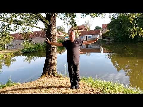 Zhineng Qigong Level 2 Body and Mind Method