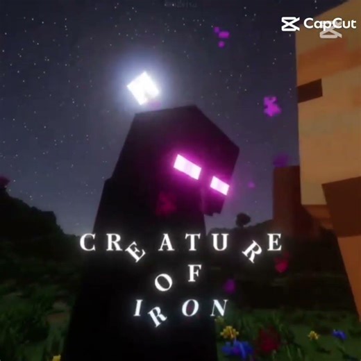 Pov:The bully and the quiet kid meet #intense #minecraft