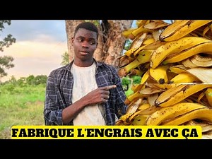 comment fabriquer l'engrais avec la peau de la banane 🍌