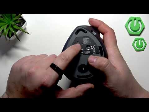 Reinston EMB06E - Does It Have Bluetooth?