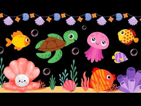 Baby Sensory Video - Tummy Time - Sensory Videos for Babies - Visual Stimulation for Newborn #baby