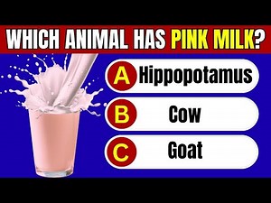 General Knowledge Quiz Questions and Answers | 36 Fun & Tricky GK Questions