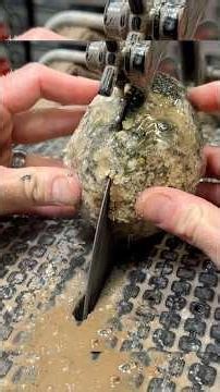 This cut GEODE is Full of Crysals!