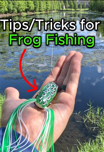Tips/Tricks for fishing the hollow body frog. . . . . . #fishing #bassfishing #fishingtips #topwater #fishingtiktoks