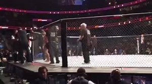 220K views · 1.2K reactions | These guys couldn't wait to make the walk! What a fun fight! #UFCTampa | UFC | Facebook