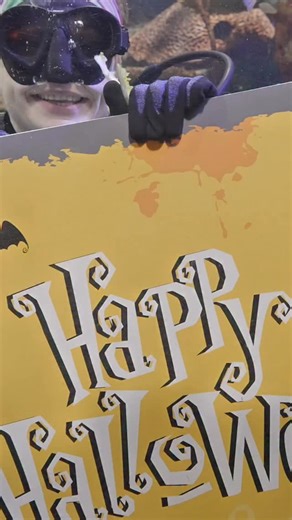 Dive into a Halloween night like no other at Ripley’s Aquarium of Canada! 🎃 This Friday, October 31st, sip on hauntingly good cocktails, discover your fate with our tarot readers, and strut your style in our eerie costume contest ✨ Our spellbinding DJ and host, Adrianna Exposee @dragbarbie will keep the energy flowing, spinning chilling beats until the clock strikes midnight! Slip beneath the surface and let the shadows guide you, because when the waters get dark, the real fun begins 👻 🎃 EVEN