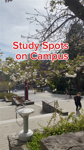 Get ready for finals week with these study spot suggestions. Any we missed? #WSU #GoCougs | WSU Pullman