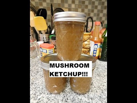 Mushroom Ketchup!