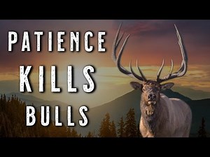 HOW TO HUNT SOLO BULLS After the Rut | Spot-and-Stalk Elk Hunting Tactics