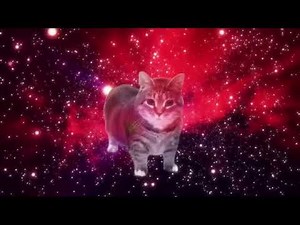 Olla Olla Spinning cat(Inverse Version)