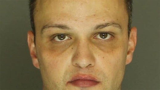 Peppa, a 12-week-old puppy, was likely strangled by Dover Township man, state police say