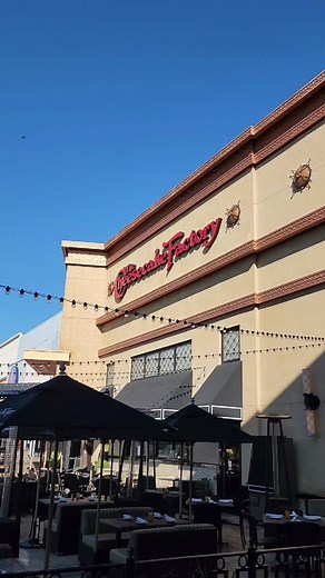 did these bees choose Jeff as their queen? #beetok #bees #swarm #queenbee #savethebees #nature #wildlife #animals