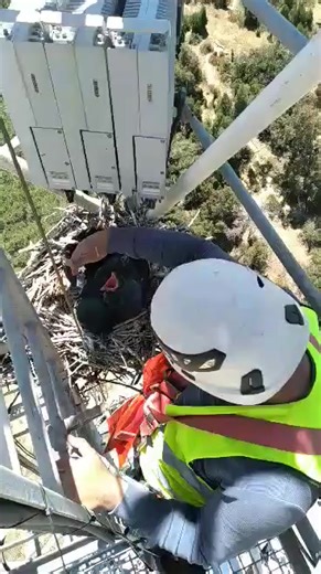 33K views · 223 reactions | Telecom tower | Telecom Job | Facebook