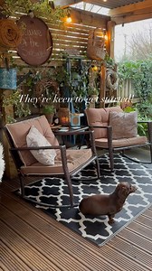 They’re ready for the new week 🙈😂🤎🖤🐾 Happy Monday from all @brook_cottage_ #garden #garten #cottagegarden #wildgarden #gardeninspiration #dachshund #rustic #vintage #jardin #wildlifegarden #gardenlove #nature #pond #gardenpath #sausagedog #dachshundsofinstagram #cottagecore #gardendesign #steppingstones | Brook cottage