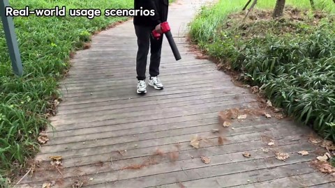 Electric Handheld Leaf Blower Cordless with 2X 4.0Ah Batteries and Charger, 650CFM 160MPH, 2 Extended Nozzles, Portable Mini Lightweight for Seniors Gift, Yard,Patio,Gutter,Lawn Care, Garden Tool