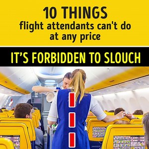 1.1M views · 8.3K reactions | 10 things flight attendants can't do at any price | Bright Side | Facebook