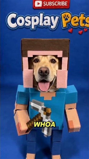 Minecraft Dog Cosplay 🐶 Can You Name All 3 Costumes?