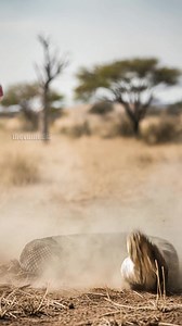 Simulated Reality on Reels