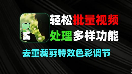 轻松玩转批量视频处理一键就能全部完成