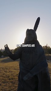 29K views · 575 reactions | "The Ponca language, a branch of the Dégihá language group, carries stories passed down through generations. Have you ever wanted to learn the language of the Ponca People? Stay and listen to learn a few key phrases!" #PoncaCitytourism #ThingstodoPoncaCity #poncacity y #VisitPoncaCity #staylocal | City of Ponca City, OK | Facebook