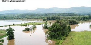 Wildlife Watch: Floodplain restoration