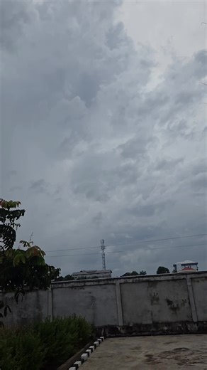 bunga Pepaya guys #storymerryandani