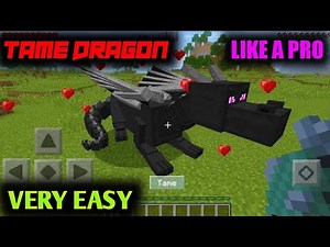 How to Tame Your Dragon in MINECRAFT