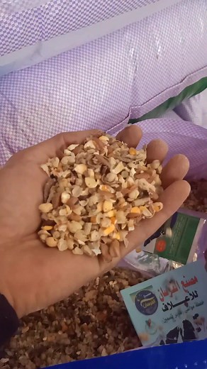 لو بتدور علي أعلاف تديك أعلي نسبة💯 تحويل وأعلي إدرار للحليب🐂 . وتضمنلك صحة قطيعك يبقي مفيش غير أعلاف #شركه_الفرسان_للاعلاف #مصنع_الفرسان بيقدملك أعلي واجود الخلاطات بمكونات طبيعيه 100% خلطة مواشي سوبر 16بروتين خلطة مواشي تسمين 14بروتين مكونه من افضل الخامات من الصويا والردة. والزرة الأرجنتيني. ومستخلص بذرة القطن. واملاح معدنية وقشر الفول الصويا. وقشر الفول البلدي #مصنع_الفرسان_للاعلاف. جوده. ثقه. تميز للتواصل مع إدارة المبيعات 01019960826 تواصل معنا هنوصلك في اي مكان في مصر @إشارة #صويا #علف #