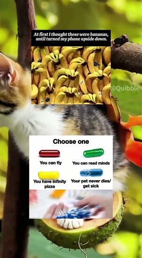 #liveperformances 🧦